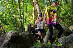 BIB: 
                            <button type="button" onclick="openModal(13593394)" class="btn btn-primary btn-sm float-right btn-popup" data-toggle="modal" data-target=".modal-high-quality">
                        <i class="fas fa-shopping-cart"></i> Add to Cart
                    </button>
                                            <button type="button" onclick="isThisMe(13593394, true)" class="btn btn-success btn-sm float-right btn-popup btn-isme hidden" data-toggle="tooltip" data-placement="bottom" title="นี่คือรูปของคุณใช่ไหม คลิกที่นี่เพื่อเอาเข้าอัลบั้ม">
                        <i class="fas fa-plus"></i> Add to album
                    </button>
                    <button type="button" onclick="isThisMe(13593394, false)" class="btn btn-warning btn-sm float-right btn-popup btn-isnotme hidden">
                        <i class="fas fa-ban"></i> Remove from album
                    </button>