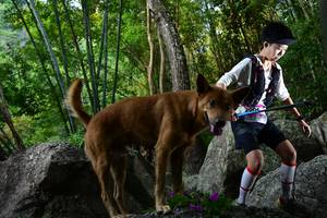 BIB: 
                            <button type="button" onclick="openModal(13592288)" class="btn btn-primary btn-sm float-right btn-popup" data-toggle="modal" data-target=".modal-high-quality">
                        <i class="fas fa-shopping-cart"></i> Add to Cart
                    </button>
                                            <button type="button" onclick="isThisMe(13592288, true)" class="btn btn-success btn-sm float-right btn-popup btn-isme hidden" data-toggle="tooltip" data-placement="bottom" title="นี่คือรูปของคุณใช่ไหม คลิกที่นี่เพื่อเอาเข้าอัลบั้ม">
                        <i class="fas fa-plus"></i> Add to album
                    </button>
                    <button type="button" onclick="isThisMe(13592288, false)" class="btn btn-warning btn-sm float-right btn-popup btn-isnotme hidden">
                        <i class="fas fa-ban"></i> Remove from album
                    </button>