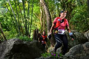 BIB: 
                            <button type="button" onclick="openModal(13593064)" class="btn btn-primary btn-sm float-right btn-popup" data-toggle="modal" data-target=".modal-high-quality">
                        <i class="fas fa-shopping-cart"></i> Add to Cart
                    </button>
                                            <button type="button" onclick="isThisMe(13593064, true)" class="btn btn-success btn-sm float-right btn-popup btn-isme hidden" data-toggle="tooltip" data-placement="bottom" title="นี่คือรูปของคุณใช่ไหม คลิกที่นี่เพื่อเอาเข้าอัลบั้ม">
                        <i class="fas fa-plus"></i> Add to album
                    </button>
                    <button type="button" onclick="isThisMe(13593064, false)" class="btn btn-warning btn-sm float-right btn-popup btn-isnotme hidden">
                        <i class="fas fa-ban"></i> Remove from album
                    </button>