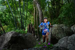 BIB: 
                            <button type="button" onclick="openModal(13592205)" class="btn btn-primary btn-sm float-right btn-popup" data-toggle="modal" data-target=".modal-high-quality">
                        <i class="fas fa-shopping-cart"></i> Add to Cart
                    </button>
                                            <button type="button" onclick="isThisMe(13592205, true)" class="btn btn-success btn-sm float-right btn-popup btn-isme hidden" data-toggle="tooltip" data-placement="bottom" title="นี่คือรูปของคุณใช่ไหม คลิกที่นี่เพื่อเอาเข้าอัลบั้ม">
                        <i class="fas fa-plus"></i> Add to album
                    </button>
                    <button type="button" onclick="isThisMe(13592205, false)" class="btn btn-warning btn-sm float-right btn-popup btn-isnotme hidden">
                        <i class="fas fa-ban"></i> Remove from album
                    </button>