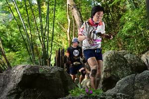 BIB: 
                            <button type="button" onclick="openModal(13593401)" class="btn btn-primary btn-sm float-right btn-popup" data-toggle="modal" data-target=".modal-high-quality">
                        <i class="fas fa-shopping-cart"></i> Add to Cart
                    </button>
                                            <button type="button" onclick="isThisMe(13593401, true)" class="btn btn-success btn-sm float-right btn-popup btn-isme hidden" data-toggle="tooltip" data-placement="bottom" title="นี่คือรูปของคุณใช่ไหม คลิกที่นี่เพื่อเอาเข้าอัลบั้ม">
                        <i class="fas fa-plus"></i> Add to album
                    </button>
                    <button type="button" onclick="isThisMe(13593401, false)" class="btn btn-warning btn-sm float-right btn-popup btn-isnotme hidden">
                        <i class="fas fa-ban"></i> Remove from album
                    </button>