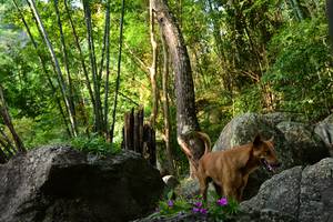 BIB: 
                            <button type="button" onclick="openModal(13592648)" class="btn btn-primary btn-sm float-right btn-popup" data-toggle="modal" data-target=".modal-high-quality">
                        <i class="fas fa-shopping-cart"></i> Add to Cart
                    </button>
                                            <button type="button" onclick="isThisMe(13592648, true)" class="btn btn-success btn-sm float-right btn-popup btn-isme hidden" data-toggle="tooltip" data-placement="bottom" title="นี่คือรูปของคุณใช่ไหม คลิกที่นี่เพื่อเอาเข้าอัลบั้ม">
                        <i class="fas fa-plus"></i> Add to album
                    </button>
                    <button type="button" onclick="isThisMe(13592648, false)" class="btn btn-warning btn-sm float-right btn-popup btn-isnotme hidden">
                        <i class="fas fa-ban"></i> Remove from album
                    </button>