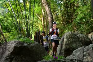 BIB: 
                            <button type="button" onclick="openModal(13593297)" class="btn btn-primary btn-sm float-right btn-popup" data-toggle="modal" data-target=".modal-high-quality">
                        <i class="fas fa-shopping-cart"></i> Add to Cart
                    </button>
                                            <button type="button" onclick="isThisMe(13593297, true)" class="btn btn-success btn-sm float-right btn-popup btn-isme hidden" data-toggle="tooltip" data-placement="bottom" title="นี่คือรูปของคุณใช่ไหม คลิกที่นี่เพื่อเอาเข้าอัลบั้ม">
                        <i class="fas fa-plus"></i> Add to album
                    </button>
                    <button type="button" onclick="isThisMe(13593297, false)" class="btn btn-warning btn-sm float-right btn-popup btn-isnotme hidden">
                        <i class="fas fa-ban"></i> Remove from album
                    </button>