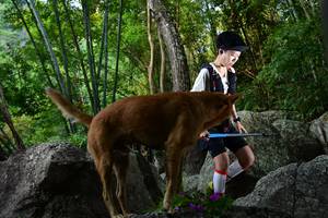 BIB: 
                            <button type="button" onclick="openModal(13592283)" class="btn btn-primary btn-sm float-right btn-popup" data-toggle="modal" data-target=".modal-high-quality">
                        <i class="fas fa-shopping-cart"></i> Add to Cart
                    </button>
                                            <button type="button" onclick="isThisMe(13592283, true)" class="btn btn-success btn-sm float-right btn-popup btn-isme hidden" data-toggle="tooltip" data-placement="bottom" title="นี่คือรูปของคุณใช่ไหม คลิกที่นี่เพื่อเอาเข้าอัลบั้ม">
                        <i class="fas fa-plus"></i> Add to album
                    </button>
                    <button type="button" onclick="isThisMe(13592283, false)" class="btn btn-warning btn-sm float-right btn-popup btn-isnotme hidden">
                        <i class="fas fa-ban"></i> Remove from album
                    </button>