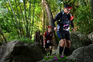 BIB: 
                            <button type="button" onclick="openModal(13592519)" class="btn btn-primary btn-sm float-right btn-popup" data-toggle="modal" data-target=".modal-high-quality">
                        <i class="fas fa-shopping-cart"></i> Add to Cart
                    </button>
                                            <button type="button" onclick="isThisMe(13592519, true)" class="btn btn-success btn-sm float-right btn-popup btn-isme hidden" data-toggle="tooltip" data-placement="bottom" title="นี่คือรูปของคุณใช่ไหม คลิกที่นี่เพื่อเอาเข้าอัลบั้ม">
                        <i class="fas fa-plus"></i> Add to album
                    </button>
                    <button type="button" onclick="isThisMe(13592519, false)" class="btn btn-warning btn-sm float-right btn-popup btn-isnotme hidden">
                        <i class="fas fa-ban"></i> Remove from album
                    </button>