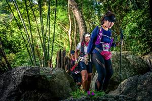 BIB: 
                            <button type="button" onclick="openModal(13524694)" class="btn btn-primary btn-sm float-right btn-popup" data-toggle="modal" data-target=".modal-high-quality">
                        <i class="fas fa-shopping-cart"></i> Add to Cart
                    </button>
                                            <button type="button" onclick="isThisMe(13524694, true)" class="btn btn-success btn-sm float-right btn-popup btn-isme hidden" data-toggle="tooltip" data-placement="bottom" title="นี่คือรูปของคุณใช่ไหม คลิกที่นี่เพื่อเอาเข้าอัลบั้ม">
                        <i class="fas fa-plus"></i> Add to album
                    </button>
                    <button type="button" onclick="isThisMe(13524694, false)" class="btn btn-warning btn-sm float-right btn-popup btn-isnotme hidden">
                        <i class="fas fa-ban"></i> Remove from album
                    </button>