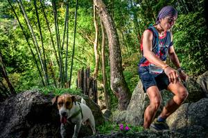 BIB: 
                            <button type="button" onclick="openModal(13525036)" class="btn btn-primary btn-sm float-right btn-popup" data-toggle="modal" data-target=".modal-high-quality">
                        <i class="fas fa-shopping-cart"></i> Add to Cart
                    </button>
                                            <button type="button" onclick="isThisMe(13525036, true)" class="btn btn-success btn-sm float-right btn-popup btn-isme hidden" data-toggle="tooltip" data-placement="bottom" title="นี่คือรูปของคุณใช่ไหม คลิกที่นี่เพื่อเอาเข้าอัลบั้ม">
                        <i class="fas fa-plus"></i> Add to album
                    </button>
                    <button type="button" onclick="isThisMe(13525036, false)" class="btn btn-warning btn-sm float-right btn-popup btn-isnotme hidden">
                        <i class="fas fa-ban"></i> Remove from album
                    </button>