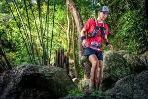 BIB: 
                            <button type="button" onclick="openModal(13524436)" class="btn btn-primary btn-sm float-right btn-popup" data-toggle="modal" data-target=".modal-high-quality">
                        <i class="fas fa-shopping-cart"></i> Add to Cart
                    </button>
                                            <button type="button" onclick="isThisMe(13524436, true)" class="btn btn-success btn-sm float-right btn-popup btn-isme hidden" data-toggle="tooltip" data-placement="bottom" title="นี่คือรูปของคุณใช่ไหม คลิกที่นี่เพื่อเอาเข้าอัลบั้ม">
                        <i class="fas fa-plus"></i> Add to album
                    </button>
                    <button type="button" onclick="isThisMe(13524436, false)" class="btn btn-warning btn-sm float-right btn-popup btn-isnotme hidden">
                        <i class="fas fa-ban"></i> Remove from album
                    </button>