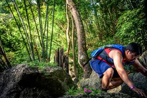 BIB: 
                            <button type="button" onclick="openModal(13525130)" class="btn btn-primary btn-sm float-right btn-popup" data-toggle="modal" data-target=".modal-high-quality">
                        <i class="fas fa-shopping-cart"></i> Add to Cart
                    </button>
                                            <button type="button" onclick="isThisMe(13525130, true)" class="btn btn-success btn-sm float-right btn-popup btn-isme hidden" data-toggle="tooltip" data-placement="bottom" title="นี่คือรูปของคุณใช่ไหม คลิกที่นี่เพื่อเอาเข้าอัลบั้ม">
                        <i class="fas fa-plus"></i> Add to album
                    </button>
                    <button type="button" onclick="isThisMe(13525130, false)" class="btn btn-warning btn-sm float-right btn-popup btn-isnotme hidden">
                        <i class="fas fa-ban"></i> Remove from album
                    </button>