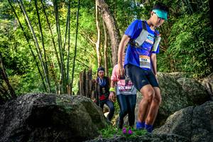 BIB: 
                            <button type="button" onclick="openModal(13524745)" class="btn btn-primary btn-sm float-right btn-popup" data-toggle="modal" data-target=".modal-high-quality">
                        <i class="fas fa-shopping-cart"></i> Add to Cart
                    </button>
                                            <button type="button" onclick="isThisMe(13524745, true)" class="btn btn-success btn-sm float-right btn-popup btn-isme hidden" data-toggle="tooltip" data-placement="bottom" title="นี่คือรูปของคุณใช่ไหม คลิกที่นี่เพื่อเอาเข้าอัลบั้ม">
                        <i class="fas fa-plus"></i> Add to album
                    </button>
                    <button type="button" onclick="isThisMe(13524745, false)" class="btn btn-warning btn-sm float-right btn-popup btn-isnotme hidden">
                        <i class="fas fa-ban"></i> Remove from album
                    </button>