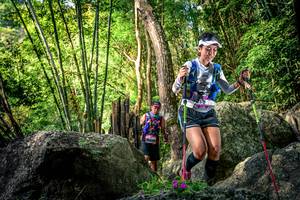 BIB: 
                            <button type="button" onclick="openModal(13524823)" class="btn btn-primary btn-sm float-right btn-popup" data-toggle="modal" data-target=".modal-high-quality">
                        <i class="fas fa-shopping-cart"></i> Add to Cart
                    </button>
                                            <button type="button" onclick="isThisMe(13524823, true)" class="btn btn-success btn-sm float-right btn-popup btn-isme hidden" data-toggle="tooltip" data-placement="bottom" title="นี่คือรูปของคุณใช่ไหม คลิกที่นี่เพื่อเอาเข้าอัลบั้ม">
                        <i class="fas fa-plus"></i> Add to album
                    </button>
                    <button type="button" onclick="isThisMe(13524823, false)" class="btn btn-warning btn-sm float-right btn-popup btn-isnotme hidden">
                        <i class="fas fa-ban"></i> Remove from album
                    </button>