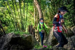 BIB: 
                            <button type="button" onclick="openModal(13525084)" class="btn btn-primary btn-sm float-right btn-popup" data-toggle="modal" data-target=".modal-high-quality">
                        <i class="fas fa-shopping-cart"></i> Add to Cart
                    </button>
                                            <button type="button" onclick="isThisMe(13525084, true)" class="btn btn-success btn-sm float-right btn-popup btn-isme hidden" data-toggle="tooltip" data-placement="bottom" title="นี่คือรูปของคุณใช่ไหม คลิกที่นี่เพื่อเอาเข้าอัลบั้ม">
                        <i class="fas fa-plus"></i> Add to album
                    </button>
                    <button type="button" onclick="isThisMe(13525084, false)" class="btn btn-warning btn-sm float-right btn-popup btn-isnotme hidden">
                        <i class="fas fa-ban"></i> Remove from album
                    </button>