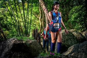 BIB: 
                            <button type="button" onclick="openModal(13525163)" class="btn btn-primary btn-sm float-right btn-popup" data-toggle="modal" data-target=".modal-high-quality">
                        <i class="fas fa-shopping-cart"></i> Add to Cart
                    </button>
                                            <button type="button" onclick="isThisMe(13525163, true)" class="btn btn-success btn-sm float-right btn-popup btn-isme hidden" data-toggle="tooltip" data-placement="bottom" title="นี่คือรูปของคุณใช่ไหม คลิกที่นี่เพื่อเอาเข้าอัลบั้ม">
                        <i class="fas fa-plus"></i> Add to album
                    </button>
                    <button type="button" onclick="isThisMe(13525163, false)" class="btn btn-warning btn-sm float-right btn-popup btn-isnotme hidden">
                        <i class="fas fa-ban"></i> Remove from album
                    </button>