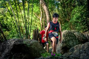 BIB: 
                            <button type="button" onclick="openModal(13524633)" class="btn btn-primary btn-sm float-right btn-popup" data-toggle="modal" data-target=".modal-high-quality">
                        <i class="fas fa-shopping-cart"></i> Add to Cart
                    </button>
                                            <button type="button" onclick="isThisMe(13524633, true)" class="btn btn-success btn-sm float-right btn-popup btn-isme hidden" data-toggle="tooltip" data-placement="bottom" title="นี่คือรูปของคุณใช่ไหม คลิกที่นี่เพื่อเอาเข้าอัลบั้ม">
                        <i class="fas fa-plus"></i> Add to album
                    </button>
                    <button type="button" onclick="isThisMe(13524633, false)" class="btn btn-warning btn-sm float-right btn-popup btn-isnotme hidden">
                        <i class="fas fa-ban"></i> Remove from album
                    </button>