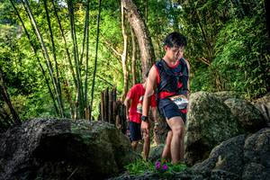 BIB: 
                            <button type="button" onclick="openModal(13524634)" class="btn btn-primary btn-sm float-right btn-popup" data-toggle="modal" data-target=".modal-high-quality">
                        <i class="fas fa-shopping-cart"></i> Add to Cart
                    </button>
                                            <button type="button" onclick="isThisMe(13524634, true)" class="btn btn-success btn-sm float-right btn-popup btn-isme hidden" data-toggle="tooltip" data-placement="bottom" title="นี่คือรูปของคุณใช่ไหม คลิกที่นี่เพื่อเอาเข้าอัลบั้ม">
                        <i class="fas fa-plus"></i> Add to album
                    </button>
                    <button type="button" onclick="isThisMe(13524634, false)" class="btn btn-warning btn-sm float-right btn-popup btn-isnotme hidden">
                        <i class="fas fa-ban"></i> Remove from album
                    </button>