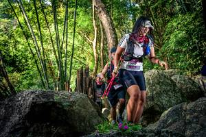 BIB: 
                            <button type="button" onclick="openModal(13524696)" class="btn btn-primary btn-sm float-right btn-popup" data-toggle="modal" data-target=".modal-high-quality">
                        <i class="fas fa-shopping-cart"></i> Add to Cart
                    </button>
                                            <button type="button" onclick="isThisMe(13524696, true)" class="btn btn-success btn-sm float-right btn-popup btn-isme hidden" data-toggle="tooltip" data-placement="bottom" title="นี่คือรูปของคุณใช่ไหม คลิกที่นี่เพื่อเอาเข้าอัลบั้ม">
                        <i class="fas fa-plus"></i> Add to album
                    </button>
                    <button type="button" onclick="isThisMe(13524696, false)" class="btn btn-warning btn-sm float-right btn-popup btn-isnotme hidden">
                        <i class="fas fa-ban"></i> Remove from album
                    </button>