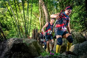 BIB: 
                            <button type="button" onclick="openModal(13524865)" class="btn btn-primary btn-sm float-right btn-popup" data-toggle="modal" data-target=".modal-high-quality">
                        <i class="fas fa-shopping-cart"></i> Add to Cart
                    </button>
                                            <button type="button" onclick="isThisMe(13524865, true)" class="btn btn-success btn-sm float-right btn-popup btn-isme hidden" data-toggle="tooltip" data-placement="bottom" title="นี่คือรูปของคุณใช่ไหม คลิกที่นี่เพื่อเอาเข้าอัลบั้ม">
                        <i class="fas fa-plus"></i> Add to album
                    </button>
                    <button type="button" onclick="isThisMe(13524865, false)" class="btn btn-warning btn-sm float-right btn-popup btn-isnotme hidden">
                        <i class="fas fa-ban"></i> Remove from album
                    </button>