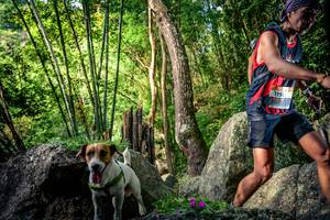 BIB: 
                            <button type="button" onclick="openModal(13525038)" class="btn btn-primary btn-sm float-right btn-popup" data-toggle="modal" data-target=".modal-high-quality">
                        <i class="fas fa-shopping-cart"></i> Add to Cart
                    </button>
                                            <button type="button" onclick="isThisMe(13525038, true)" class="btn btn-success btn-sm float-right btn-popup btn-isme hidden" data-toggle="tooltip" data-placement="bottom" title="นี่คือรูปของคุณใช่ไหม คลิกที่นี่เพื่อเอาเข้าอัลบั้ม">
                        <i class="fas fa-plus"></i> Add to album
                    </button>
                    <button type="button" onclick="isThisMe(13525038, false)" class="btn btn-warning btn-sm float-right btn-popup btn-isnotme hidden">
                        <i class="fas fa-ban"></i> Remove from album
                    </button>