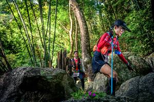 BIB: 
                            <button type="button" onclick="openModal(13524458)" class="btn btn-primary btn-sm float-right btn-popup" data-toggle="modal" data-target=".modal-high-quality">
                        <i class="fas fa-shopping-cart"></i> Add to Cart
                    </button>
                                            <button type="button" onclick="isThisMe(13524458, true)" class="btn btn-success btn-sm float-right btn-popup btn-isme hidden" data-toggle="tooltip" data-placement="bottom" title="นี่คือรูปของคุณใช่ไหม คลิกที่นี่เพื่อเอาเข้าอัลบั้ม">
                        <i class="fas fa-plus"></i> Add to album
                    </button>
                    <button type="button" onclick="isThisMe(13524458, false)" class="btn btn-warning btn-sm float-right btn-popup btn-isnotme hidden">
                        <i class="fas fa-ban"></i> Remove from album
                    </button>