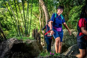 BIB: 
                            <button type="button" onclick="openModal(13525143)" class="btn btn-primary btn-sm float-right btn-popup" data-toggle="modal" data-target=".modal-high-quality">
                        <i class="fas fa-shopping-cart"></i> Add to Cart
                    </button>
                                            <button type="button" onclick="isThisMe(13525143, true)" class="btn btn-success btn-sm float-right btn-popup btn-isme hidden" data-toggle="tooltip" data-placement="bottom" title="นี่คือรูปของคุณใช่ไหม คลิกที่นี่เพื่อเอาเข้าอัลบั้ม">
                        <i class="fas fa-plus"></i> Add to album
                    </button>
                    <button type="button" onclick="isThisMe(13525143, false)" class="btn btn-warning btn-sm float-right btn-popup btn-isnotme hidden">
                        <i class="fas fa-ban"></i> Remove from album
                    </button>