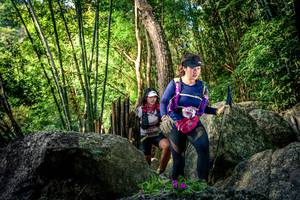 BIB: 
                            <button type="button" onclick="openModal(13524690)" class="btn btn-primary btn-sm float-right btn-popup" data-toggle="modal" data-target=".modal-high-quality">
                        <i class="fas fa-shopping-cart"></i> Add to Cart
                    </button>
                                            <button type="button" onclick="isThisMe(13524690, true)" class="btn btn-success btn-sm float-right btn-popup btn-isme hidden" data-toggle="tooltip" data-placement="bottom" title="นี่คือรูปของคุณใช่ไหม คลิกที่นี่เพื่อเอาเข้าอัลบั้ม">
                        <i class="fas fa-plus"></i> Add to album
                    </button>
                    <button type="button" onclick="isThisMe(13524690, false)" class="btn btn-warning btn-sm float-right btn-popup btn-isnotme hidden">
                        <i class="fas fa-ban"></i> Remove from album
                    </button>