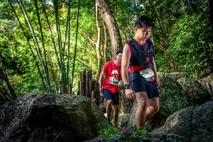 BIB: 
                            <button type="button" onclick="openModal(13524635)" class="btn btn-primary btn-sm float-right btn-popup" data-toggle="modal" data-target=".modal-high-quality">
                        <i class="fas fa-shopping-cart"></i> Add to Cart
                    </button>
                                            <button type="button" onclick="isThisMe(13524635, true)" class="btn btn-success btn-sm float-right btn-popup btn-isme hidden" data-toggle="tooltip" data-placement="bottom" title="นี่คือรูปของคุณใช่ไหม คลิกที่นี่เพื่อเอาเข้าอัลบั้ม">
                        <i class="fas fa-plus"></i> Add to album
                    </button>
                    <button type="button" onclick="isThisMe(13524635, false)" class="btn btn-warning btn-sm float-right btn-popup btn-isnotme hidden">
                        <i class="fas fa-ban"></i> Remove from album
                    </button>