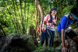 BIB: 
                            <button type="button" onclick="openModal(13524748)" class="btn btn-primary btn-sm float-right btn-popup" data-toggle="modal" data-target=".modal-high-quality">
                        <i class="fas fa-shopping-cart"></i> Add to Cart
                    </button>
                                            <button type="button" onclick="isThisMe(13524748, true)" class="btn btn-success btn-sm float-right btn-popup btn-isme hidden" data-toggle="tooltip" data-placement="bottom" title="นี่คือรูปของคุณใช่ไหม คลิกที่นี่เพื่อเอาเข้าอัลบั้ม">
                        <i class="fas fa-plus"></i> Add to album
                    </button>
                    <button type="button" onclick="isThisMe(13524748, false)" class="btn btn-warning btn-sm float-right btn-popup btn-isnotme hidden">
                        <i class="fas fa-ban"></i> Remove from album
                    </button>