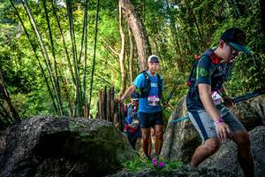 BIB: 
                            <button type="button" onclick="openModal(13524497)" class="btn btn-primary btn-sm float-right btn-popup" data-toggle="modal" data-target=".modal-high-quality">
                        <i class="fas fa-shopping-cart"></i> Add to Cart
                    </button>
                                            <button type="button" onclick="isThisMe(13524497, true)" class="btn btn-success btn-sm float-right btn-popup btn-isme hidden" data-toggle="tooltip" data-placement="bottom" title="นี่คือรูปของคุณใช่ไหม คลิกที่นี่เพื่อเอาเข้าอัลบั้ม">
                        <i class="fas fa-plus"></i> Add to album
                    </button>
                    <button type="button" onclick="isThisMe(13524497, false)" class="btn btn-warning btn-sm float-right btn-popup btn-isnotme hidden">
                        <i class="fas fa-ban"></i> Remove from album
                    </button>