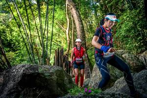 BIB: 
                            <button type="button" onclick="openModal(13524516)" class="btn btn-primary btn-sm float-right btn-popup" data-toggle="modal" data-target=".modal-high-quality">
                        <i class="fas fa-shopping-cart"></i> Add to Cart
                    </button>
                                            <button type="button" onclick="isThisMe(13524516, true)" class="btn btn-success btn-sm float-right btn-popup btn-isme hidden" data-toggle="tooltip" data-placement="bottom" title="นี่คือรูปของคุณใช่ไหม คลิกที่นี่เพื่อเอาเข้าอัลบั้ม">
                        <i class="fas fa-plus"></i> Add to album
                    </button>
                    <button type="button" onclick="isThisMe(13524516, false)" class="btn btn-warning btn-sm float-right btn-popup btn-isnotme hidden">
                        <i class="fas fa-ban"></i> Remove from album
                    </button>