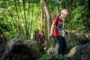 BIB: 
                            <button type="button" onclick="openModal(13524878)" class="btn btn-primary btn-sm float-right btn-popup" data-toggle="modal" data-target=".modal-high-quality">
                        <i class="fas fa-shopping-cart"></i> Add to Cart
                    </button>
                                            <button type="button" onclick="isThisMe(13524878, true)" class="btn btn-success btn-sm float-right btn-popup btn-isme hidden" data-toggle="tooltip" data-placement="bottom" title="นี่คือรูปของคุณใช่ไหม คลิกที่นี่เพื่อเอาเข้าอัลบั้ม">
                        <i class="fas fa-plus"></i> Add to album
                    </button>
                    <button type="button" onclick="isThisMe(13524878, false)" class="btn btn-warning btn-sm float-right btn-popup btn-isnotme hidden">
                        <i class="fas fa-ban"></i> Remove from album
                    </button>