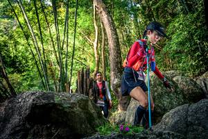 BIB: 
                            <button type="button" onclick="openModal(13524452)" class="btn btn-primary btn-sm float-right btn-popup" data-toggle="modal" data-target=".modal-high-quality">
                        <i class="fas fa-shopping-cart"></i> Add to Cart
                    </button>
                                            <button type="button" onclick="isThisMe(13524452, true)" class="btn btn-success btn-sm float-right btn-popup btn-isme hidden" data-toggle="tooltip" data-placement="bottom" title="นี่คือรูปของคุณใช่ไหม คลิกที่นี่เพื่อเอาเข้าอัลบั้ม">
                        <i class="fas fa-plus"></i> Add to album
                    </button>
                    <button type="button" onclick="isThisMe(13524452, false)" class="btn btn-warning btn-sm float-right btn-popup btn-isnotme hidden">
                        <i class="fas fa-ban"></i> Remove from album
                    </button>