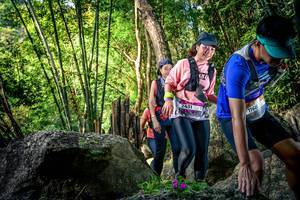 BIB: 
                            <button type="button" onclick="openModal(13524746)" class="btn btn-primary btn-sm float-right btn-popup" data-toggle="modal" data-target=".modal-high-quality">
                        <i class="fas fa-shopping-cart"></i> Add to Cart
                    </button>
                                            <button type="button" onclick="isThisMe(13524746, true)" class="btn btn-success btn-sm float-right btn-popup btn-isme hidden" data-toggle="tooltip" data-placement="bottom" title="นี่คือรูปของคุณใช่ไหม คลิกที่นี่เพื่อเอาเข้าอัลบั้ม">
                        <i class="fas fa-plus"></i> Add to album
                    </button>
                    <button type="button" onclick="isThisMe(13524746, false)" class="btn btn-warning btn-sm float-right btn-popup btn-isnotme hidden">
                        <i class="fas fa-ban"></i> Remove from album
                    </button>