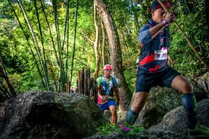 BIB: 
                            <button type="button" onclick="openModal(13524481)" class="btn btn-primary btn-sm float-right btn-popup" data-toggle="modal" data-target=".modal-high-quality">
                        <i class="fas fa-shopping-cart"></i> Add to Cart
                    </button>
                                            <button type="button" onclick="isThisMe(13524481, true)" class="btn btn-success btn-sm float-right btn-popup btn-isme hidden" data-toggle="tooltip" data-placement="bottom" title="นี่คือรูปของคุณใช่ไหม คลิกที่นี่เพื่อเอาเข้าอัลบั้ม">
                        <i class="fas fa-plus"></i> Add to album
                    </button>
                    <button type="button" onclick="isThisMe(13524481, false)" class="btn btn-warning btn-sm float-right btn-popup btn-isnotme hidden">
                        <i class="fas fa-ban"></i> Remove from album
                    </button>