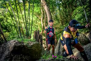 BIB: 
                            <button type="button" onclick="openModal(13525139)" class="btn btn-primary btn-sm float-right btn-popup" data-toggle="modal" data-target=".modal-high-quality">
                        <i class="fas fa-shopping-cart"></i> Add to Cart
                    </button>
                                            <button type="button" onclick="isThisMe(13525139, true)" class="btn btn-success btn-sm float-right btn-popup btn-isme hidden" data-toggle="tooltip" data-placement="bottom" title="นี่คือรูปของคุณใช่ไหม คลิกที่นี่เพื่อเอาเข้าอัลบั้ม">
                        <i class="fas fa-plus"></i> Add to album
                    </button>
                    <button type="button" onclick="isThisMe(13525139, false)" class="btn btn-warning btn-sm float-right btn-popup btn-isnotme hidden">
                        <i class="fas fa-ban"></i> Remove from album
                    </button>