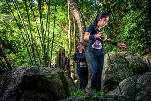 BIB: 
                            <button type="button" onclick="openModal(13524710)" class="btn btn-primary btn-sm float-right btn-popup" data-toggle="modal" data-target=".modal-high-quality">
                        <i class="fas fa-shopping-cart"></i> Add to Cart
                    </button>
                                            <button type="button" onclick="isThisMe(13524710, true)" class="btn btn-success btn-sm float-right btn-popup btn-isme hidden" data-toggle="tooltip" data-placement="bottom" title="นี่คือรูปของคุณใช่ไหม คลิกที่นี่เพื่อเอาเข้าอัลบั้ม">
                        <i class="fas fa-plus"></i> Add to album
                    </button>
                    <button type="button" onclick="isThisMe(13524710, false)" class="btn btn-warning btn-sm float-right btn-popup btn-isnotme hidden">
                        <i class="fas fa-ban"></i> Remove from album
                    </button>