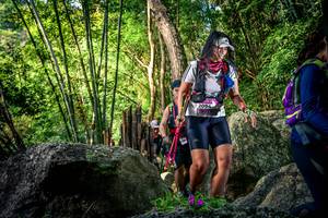 BIB: 
                            <button type="button" onclick="openModal(13524695)" class="btn btn-primary btn-sm float-right btn-popup" data-toggle="modal" data-target=".modal-high-quality">
                        <i class="fas fa-shopping-cart"></i> Add to Cart
                    </button>
                                            <button type="button" onclick="isThisMe(13524695, true)" class="btn btn-success btn-sm float-right btn-popup btn-isme hidden" data-toggle="tooltip" data-placement="bottom" title="นี่คือรูปของคุณใช่ไหม คลิกที่นี่เพื่อเอาเข้าอัลบั้ม">
                        <i class="fas fa-plus"></i> Add to album
                    </button>
                    <button type="button" onclick="isThisMe(13524695, false)" class="btn btn-warning btn-sm float-right btn-popup btn-isnotme hidden">
                        <i class="fas fa-ban"></i> Remove from album
                    </button>