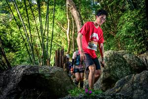 BIB: 
                            <button type="button" onclick="openModal(13524638)" class="btn btn-primary btn-sm float-right btn-popup" data-toggle="modal" data-target=".modal-high-quality">
                        <i class="fas fa-shopping-cart"></i> Add to Cart
                    </button>
                                            <button type="button" onclick="isThisMe(13524638, true)" class="btn btn-success btn-sm float-right btn-popup btn-isme hidden" data-toggle="tooltip" data-placement="bottom" title="นี่คือรูปของคุณใช่ไหม คลิกที่นี่เพื่อเอาเข้าอัลบั้ม">
                        <i class="fas fa-plus"></i> Add to album
                    </button>
                    <button type="button" onclick="isThisMe(13524638, false)" class="btn btn-warning btn-sm float-right btn-popup btn-isnotme hidden">
                        <i class="fas fa-ban"></i> Remove from album
                    </button>