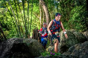 BIB: 
                            <button type="button" onclick="openModal(13524725)" class="btn btn-primary btn-sm float-right btn-popup" data-toggle="modal" data-target=".modal-high-quality">
                        <i class="fas fa-shopping-cart"></i> Add to Cart
                    </button>
                                            <button type="button" onclick="isThisMe(13524725, true)" class="btn btn-success btn-sm float-right btn-popup btn-isme hidden" data-toggle="tooltip" data-placement="bottom" title="นี่คือรูปของคุณใช่ไหม คลิกที่นี่เพื่อเอาเข้าอัลบั้ม">
                        <i class="fas fa-plus"></i> Add to album
                    </button>
                    <button type="button" onclick="isThisMe(13524725, false)" class="btn btn-warning btn-sm float-right btn-popup btn-isnotme hidden">
                        <i class="fas fa-ban"></i> Remove from album
                    </button>