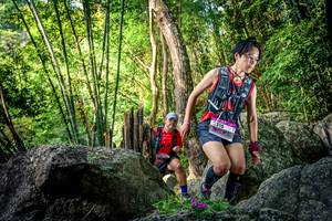 BIB: 
                            <button type="button" onclick="openModal(13524289)" class="btn btn-primary btn-sm float-right btn-popup" data-toggle="modal" data-target=".modal-high-quality">
                        <i class="fas fa-shopping-cart"></i> Add to Cart
                    </button>
                                            <button type="button" onclick="isThisMe(13524289, true)" class="btn btn-success btn-sm float-right btn-popup btn-isme hidden" data-toggle="tooltip" data-placement="bottom" title="นี่คือรูปของคุณใช่ไหม คลิกที่นี่เพื่อเอาเข้าอัลบั้ม">
                        <i class="fas fa-plus"></i> Add to album
                    </button>
                    <button type="button" onclick="isThisMe(13524289, false)" class="btn btn-warning btn-sm float-right btn-popup btn-isnotme hidden">
                        <i class="fas fa-ban"></i> Remove from album
                    </button>