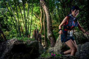 BIB: 
                            <button type="button" onclick="openModal(13522363)" class="btn btn-primary btn-sm float-right btn-popup" data-toggle="modal" data-target=".modal-high-quality">
                        <i class="fas fa-shopping-cart"></i> Add to Cart
                    </button>
                                            <button type="button" onclick="isThisMe(13522363, true)" class="btn btn-success btn-sm float-right btn-popup btn-isme hidden" data-toggle="tooltip" data-placement="bottom" title="นี่คือรูปของคุณใช่ไหม คลิกที่นี่เพื่อเอาเข้าอัลบั้ม">
                        <i class="fas fa-plus"></i> Add to album
                    </button>
                    <button type="button" onclick="isThisMe(13522363, false)" class="btn btn-warning btn-sm float-right btn-popup btn-isnotme hidden">
                        <i class="fas fa-ban"></i> Remove from album
                    </button>