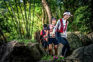 BIB: 
                            <button type="button" onclick="openModal(13522227)" class="btn btn-primary btn-sm float-right btn-popup" data-toggle="modal" data-target=".modal-high-quality">
                        <i class="fas fa-shopping-cart"></i> Add to Cart
                    </button>
                                            <button type="button" onclick="isThisMe(13522227, true)" class="btn btn-success btn-sm float-right btn-popup btn-isme hidden" data-toggle="tooltip" data-placement="bottom" title="นี่คือรูปของคุณใช่ไหม คลิกที่นี่เพื่อเอาเข้าอัลบั้ม">
                        <i class="fas fa-plus"></i> Add to album
                    </button>
                    <button type="button" onclick="isThisMe(13522227, false)" class="btn btn-warning btn-sm float-right btn-popup btn-isnotme hidden">
                        <i class="fas fa-ban"></i> Remove from album
                    </button>