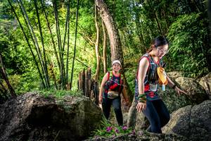 BIB: 
                            <button type="button" onclick="openModal(13523019)" class="btn btn-primary btn-sm float-right btn-popup" data-toggle="modal" data-target=".modal-high-quality">
                        <i class="fas fa-shopping-cart"></i> Add to Cart
                    </button>
                                            <button type="button" onclick="isThisMe(13523019, true)" class="btn btn-success btn-sm float-right btn-popup btn-isme hidden" data-toggle="tooltip" data-placement="bottom" title="นี่คือรูปของคุณใช่ไหม คลิกที่นี่เพื่อเอาเข้าอัลบั้ม">
                        <i class="fas fa-plus"></i> Add to album
                    </button>
                    <button type="button" onclick="isThisMe(13523019, false)" class="btn btn-warning btn-sm float-right btn-popup btn-isnotme hidden">
                        <i class="fas fa-ban"></i> Remove from album
                    </button>