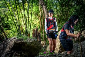 BIB: 
                            <button type="button" onclick="openModal(13523923)" class="btn btn-primary btn-sm float-right btn-popup" data-toggle="modal" data-target=".modal-high-quality">
                        <i class="fas fa-shopping-cart"></i> Add to Cart
                    </button>
                                            <button type="button" onclick="isThisMe(13523923, true)" class="btn btn-success btn-sm float-right btn-popup btn-isme hidden" data-toggle="tooltip" data-placement="bottom" title="นี่คือรูปของคุณใช่ไหม คลิกที่นี่เพื่อเอาเข้าอัลบั้ม">
                        <i class="fas fa-plus"></i> Add to album
                    </button>
                    <button type="button" onclick="isThisMe(13523923, false)" class="btn btn-warning btn-sm float-right btn-popup btn-isnotme hidden">
                        <i class="fas fa-ban"></i> Remove from album
                    </button>