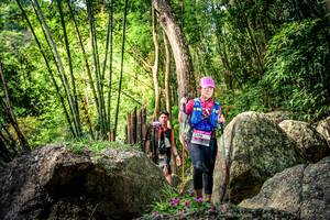 BIB: 
                            <button type="button" onclick="openModal(13523276)" class="btn btn-primary btn-sm float-right btn-popup" data-toggle="modal" data-target=".modal-high-quality">
                        <i class="fas fa-shopping-cart"></i> Add to Cart
                    </button>
                                            <button type="button" onclick="isThisMe(13523276, true)" class="btn btn-success btn-sm float-right btn-popup btn-isme hidden" data-toggle="tooltip" data-placement="bottom" title="นี่คือรูปของคุณใช่ไหม คลิกที่นี่เพื่อเอาเข้าอัลบั้ม">
                        <i class="fas fa-plus"></i> Add to album
                    </button>
                    <button type="button" onclick="isThisMe(13523276, false)" class="btn btn-warning btn-sm float-right btn-popup btn-isnotme hidden">
                        <i class="fas fa-ban"></i> Remove from album
                    </button>