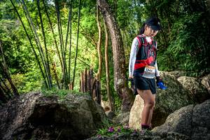 BIB: 
                            <button type="button" onclick="openModal(13523926)" class="btn btn-primary btn-sm float-right btn-popup" data-toggle="modal" data-target=".modal-high-quality">
                        <i class="fas fa-shopping-cart"></i> Add to Cart
                    </button>
                                            <button type="button" onclick="isThisMe(13523926, true)" class="btn btn-success btn-sm float-right btn-popup btn-isme hidden" data-toggle="tooltip" data-placement="bottom" title="นี่คือรูปของคุณใช่ไหม คลิกที่นี่เพื่อเอาเข้าอัลบั้ม">
                        <i class="fas fa-plus"></i> Add to album
                    </button>
                    <button type="button" onclick="isThisMe(13523926, false)" class="btn btn-warning btn-sm float-right btn-popup btn-isnotme hidden">
                        <i class="fas fa-ban"></i> Remove from album
                    </button>