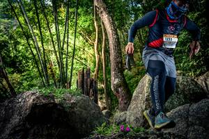 BIB: 
                            <button type="button" onclick="openModal(13522340)" class="btn btn-primary btn-sm float-right btn-popup" data-toggle="modal" data-target=".modal-high-quality">
                        <i class="fas fa-shopping-cart"></i> Add to Cart
                    </button>
                                            <button type="button" onclick="isThisMe(13522340, true)" class="btn btn-success btn-sm float-right btn-popup btn-isme hidden" data-toggle="tooltip" data-placement="bottom" title="นี่คือรูปของคุณใช่ไหม คลิกที่นี่เพื่อเอาเข้าอัลบั้ม">
                        <i class="fas fa-plus"></i> Add to album
                    </button>
                    <button type="button" onclick="isThisMe(13522340, false)" class="btn btn-warning btn-sm float-right btn-popup btn-isnotme hidden">
                        <i class="fas fa-ban"></i> Remove from album
                    </button>