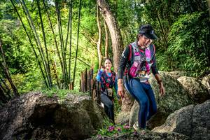 BIB: 
                            <button type="button" onclick="openModal(13523203)" class="btn btn-primary btn-sm float-right btn-popup" data-toggle="modal" data-target=".modal-high-quality">
                        <i class="fas fa-shopping-cart"></i> Add to Cart
                    </button>
                                            <button type="button" onclick="isThisMe(13523203, true)" class="btn btn-success btn-sm float-right btn-popup btn-isme hidden" data-toggle="tooltip" data-placement="bottom" title="นี่คือรูปของคุณใช่ไหม คลิกที่นี่เพื่อเอาเข้าอัลบั้ม">
                        <i class="fas fa-plus"></i> Add to album
                    </button>
                    <button type="button" onclick="isThisMe(13523203, false)" class="btn btn-warning btn-sm float-right btn-popup btn-isnotme hidden">
                        <i class="fas fa-ban"></i> Remove from album
                    </button>