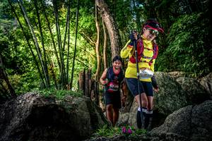 BIB: 
                            <button type="button" onclick="openModal(13522393)" class="btn btn-primary btn-sm float-right btn-popup" data-toggle="modal" data-target=".modal-high-quality">
                        <i class="fas fa-shopping-cart"></i> Add to Cart
                    </button>
                                            <button type="button" onclick="isThisMe(13522393, true)" class="btn btn-success btn-sm float-right btn-popup btn-isme hidden" data-toggle="tooltip" data-placement="bottom" title="นี่คือรูปของคุณใช่ไหม คลิกที่นี่เพื่อเอาเข้าอัลบั้ม">
                        <i class="fas fa-plus"></i> Add to album
                    </button>
                    <button type="button" onclick="isThisMe(13522393, false)" class="btn btn-warning btn-sm float-right btn-popup btn-isnotme hidden">
                        <i class="fas fa-ban"></i> Remove from album
                    </button>