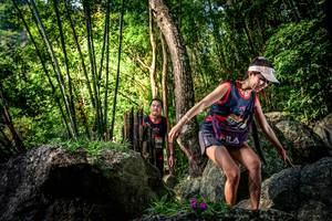 BIB: 
                            <button type="button" onclick="openModal(13522075)" class="btn btn-primary btn-sm float-right btn-popup" data-toggle="modal" data-target=".modal-high-quality">
                        <i class="fas fa-shopping-cart"></i> Add to Cart
                    </button>
                                            <button type="button" onclick="isThisMe(13522075, true)" class="btn btn-success btn-sm float-right btn-popup btn-isme hidden" data-toggle="tooltip" data-placement="bottom" title="นี่คือรูปของคุณใช่ไหม คลิกที่นี่เพื่อเอาเข้าอัลบั้ม">
                        <i class="fas fa-plus"></i> Add to album
                    </button>
                    <button type="button" onclick="isThisMe(13522075, false)" class="btn btn-warning btn-sm float-right btn-popup btn-isnotme hidden">
                        <i class="fas fa-ban"></i> Remove from album
                    </button>