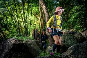 BIB: 
                            <button type="button" onclick="openModal(13522128)" class="btn btn-primary btn-sm float-right btn-popup" data-toggle="modal" data-target=".modal-high-quality">
                        <i class="fas fa-shopping-cart"></i> Add to Cart
                    </button>
                                            <button type="button" onclick="isThisMe(13522128, true)" class="btn btn-success btn-sm float-right btn-popup btn-isme hidden" data-toggle="tooltip" data-placement="bottom" title="นี่คือรูปของคุณใช่ไหม คลิกที่นี่เพื่อเอาเข้าอัลบั้ม">
                        <i class="fas fa-plus"></i> Add to album
                    </button>
                    <button type="button" onclick="isThisMe(13522128, false)" class="btn btn-warning btn-sm float-right btn-popup btn-isnotme hidden">
                        <i class="fas fa-ban"></i> Remove from album
                    </button>